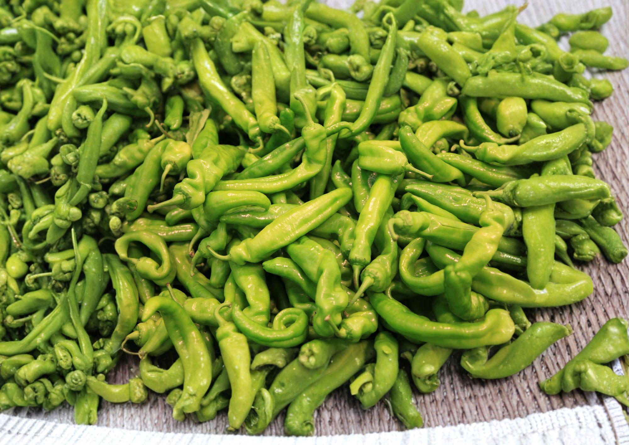 Heirloom Pepperoncini Seeds – Mild Tangy Italian Sweet Peppers, 25 Seeds for Pickling, Salads, and Mediterranean Cuisine