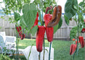 Giant Marconi Pepper Seeds – Heirloom Italian Sweet Vegetable Garden, Red, 25 Seeds
