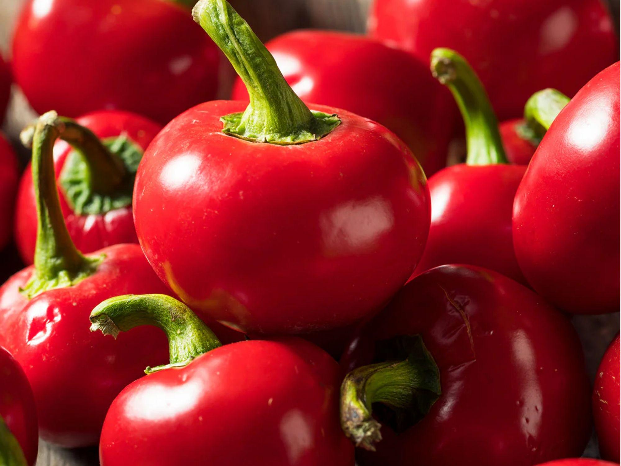Large Cherry Hot Pepper Seeds – 25 Count, Round Pickling Chili, Globe-Shaped Capsicum annuum for Pickling & Stuffing