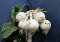 Ringmaster Onion Seeds – 50 Heirloom Large White Bulb Seeds for Long Day Gardens, Mild Sweet Flavor, Perfect for Slicing and Cooking