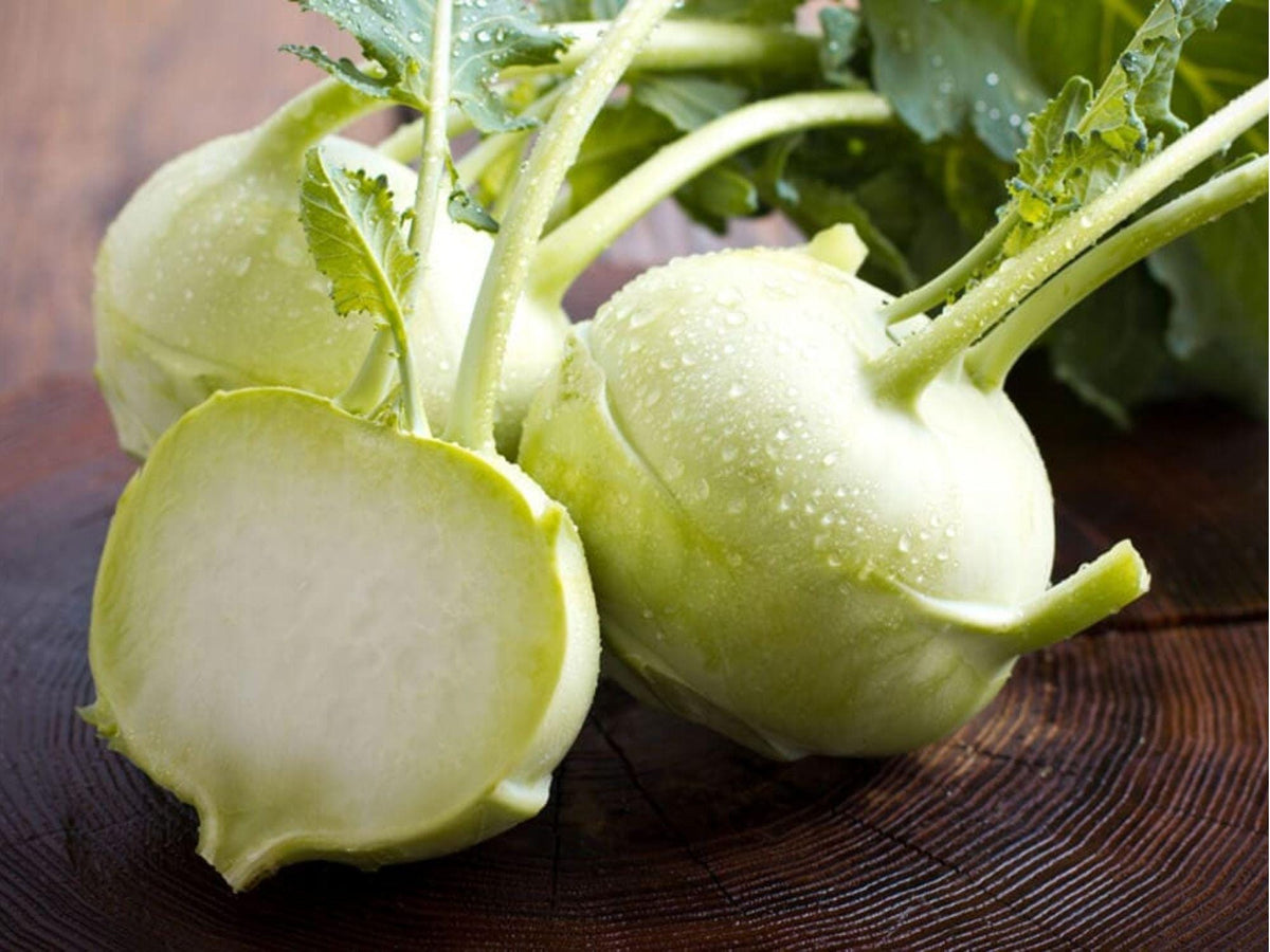 White Vienna Kohlrabi Seeds – Heirloom, Non-GMO, Cold Hardy, Edible Greens, Compact Vegetable, Brassica oleracea