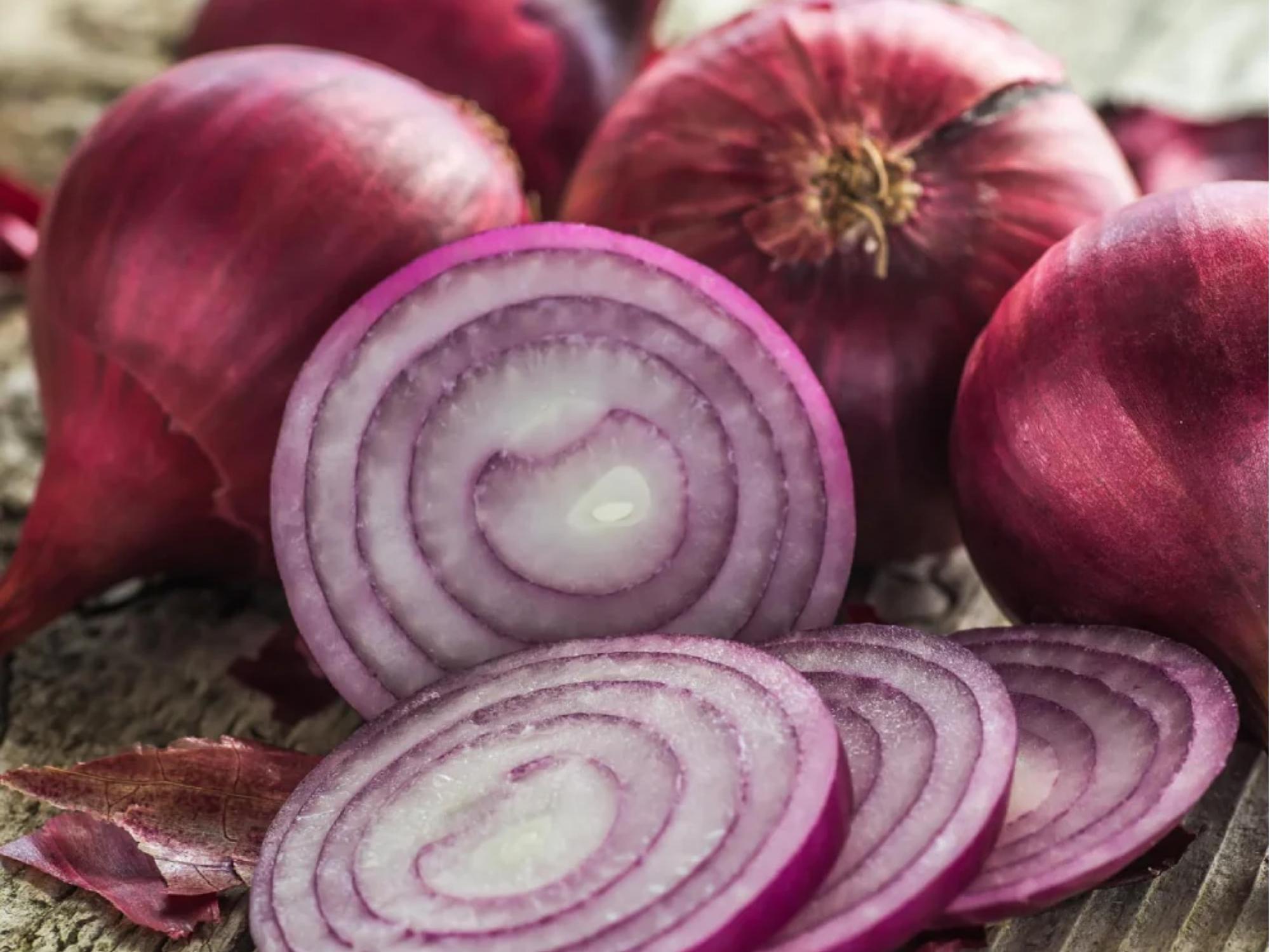 Red Burgundy Short Day Onion Seeds – Deep Red Bulb, Non-GMO, Suitable for Mild Winter Climates, 50 Seeds