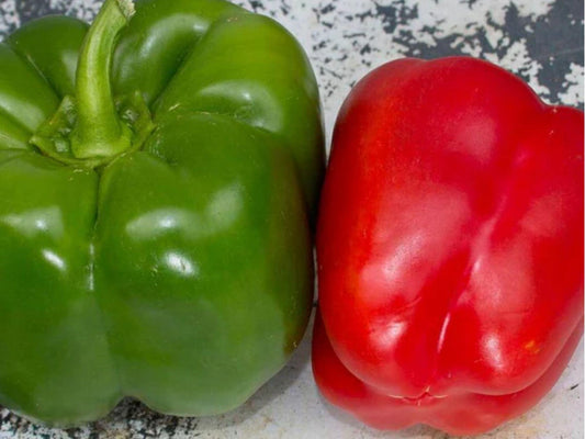 California Wonder 300 Sweet Bell Pepper Seeds – Non-GMO, Thick-Walled, Green to Red, Capsicum annuum, Garden & Container Growing