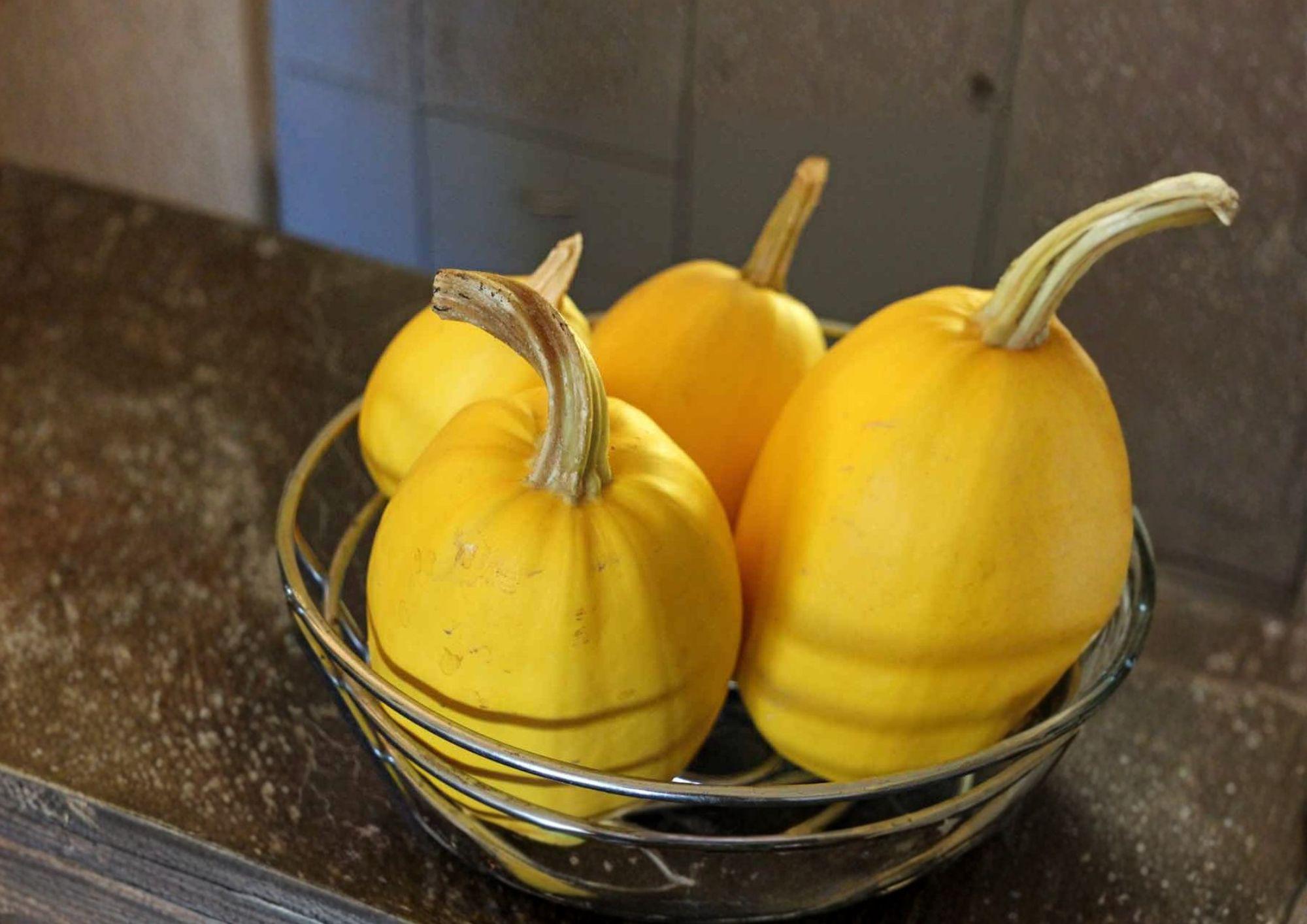 Heirloom Spaghetti Squash Seeds – 10 Vegetable Seeds for Pasta-Like Flesh, Warm Season Garden Crop, Heirloom Cucurbita pepo