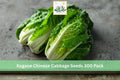 Kogane Chinese Cabbage Seeds 300 Pack – Brassica rapa subsp. pekinensis, Napa Leafy Vegetable for Home Garden, Cool Season Crop