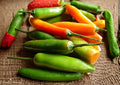Heirloom Barker Hot Pepper Seeds – New Mexico Chili, Medium Heat, Garden Growing, 25 Seeds, Heirloom, Green Chili, Southwestern