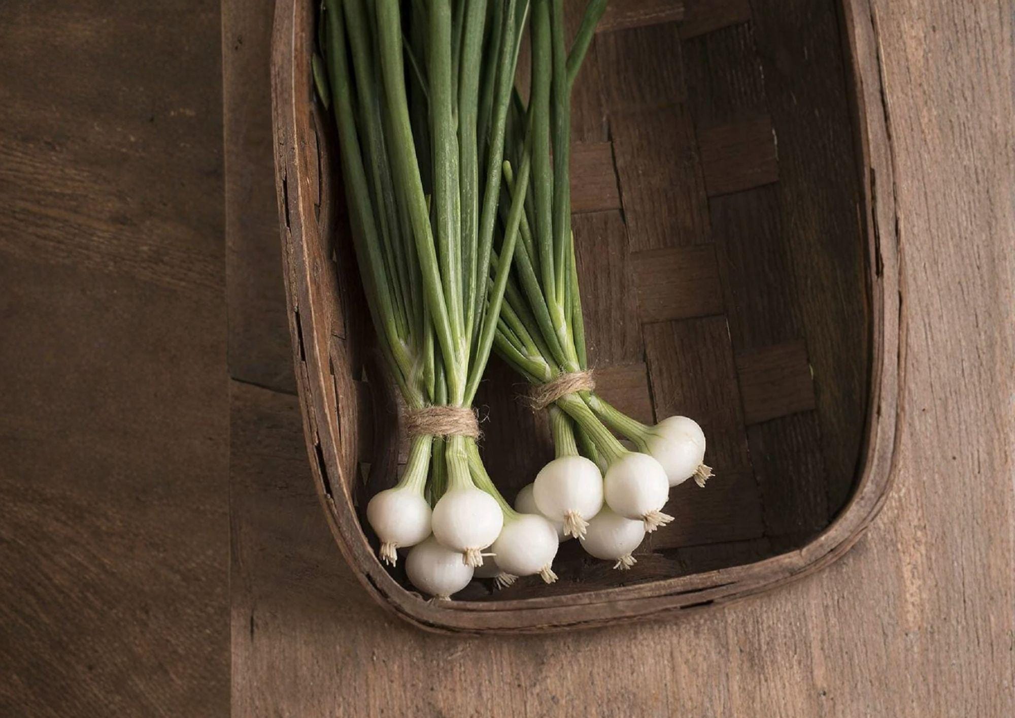 Blanco Duro Heirloom White Onion Seeds – Long-Day Storage Bulb Variety for Garden Growing