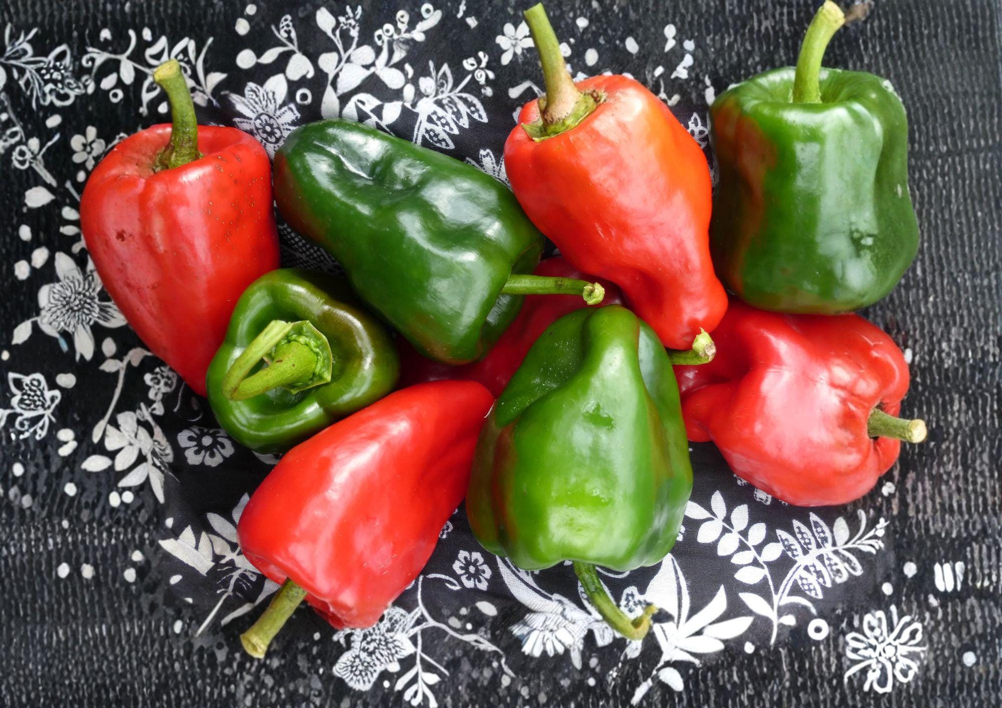 Ancho Poblano Pepper Seeds – Heirloom Mexican Chili Vegetable Garden Growing, 25 Seeds, Green to Red, Mild Heat