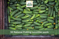 National Pickling Cucumber Seeds – Heirloom, Vining, Cucumis sativus, 50 Seeds for Pickling & Fresh Use