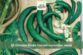 Chinese Snake Curved Cucumber Seeds – 10 Long Asian Heirloom Cucumis sativus for Trellis, Vining, Warm-Season Garden Plant