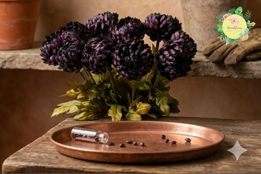 Twilight Plum Mum Seeds – 200+ Chrysanthemum morifolium Annual Flower Seeds for Garden, Borders, Containers
