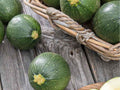 Round Zucchini Seeds – 10 Non-GMO Summer Vegetable, Cucurbita pepo, Globe-Shaped, Bush-Type Plant