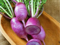 Triton Purple Stem Radish Seeds – 100 Non-GMO Asian Root Vegetable for Salad, Pickling, Cool-Season Garden