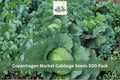 Copenhagen Market Cabbage Seeds 500 Pack – Brassica oleracea Vegetable Seeds for Heirloom, Green Heads, Cool-Season Garden