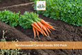 Tendersweet Carrot Seeds 500 Pack – Daucus carota Root Vegetable for Garden, Backyard, Raised Beds
