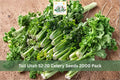 Tall Utah 52/70 Celery Seeds – 2000 Pack, Vegetable Seeds for Home Garden, Green Stalks, Apium graveolens