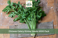 Chinese Celery Seeds 1000 Pack – Kintsai Dark Green Apium graveolens var. secalinum for Asian Vegetable Gardens