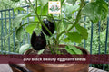 Black Beauty Eggplant Seeds – 100 Heirloom Solanum melongena Vegetable Garden Seeds for Backyard, Raised Bed & Container Cultivation