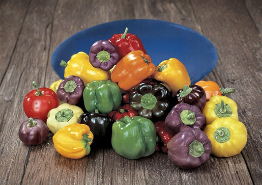 Sweet and Spicy Pepper Mix Seeds, Heirloom Non-GMO Chili Pepper Blend, Colorful Vegetable Garden Planting Seeds