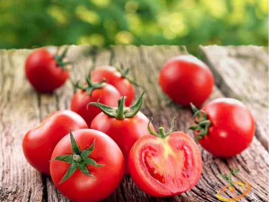 Ace 55 Tomato Seeds – 30 Count, Determinate Bush Variety for Fresh Slicing and Cooking, Solanum lycopersicum