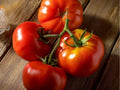 Floradel Tomato Seeds – 30 Count, Heat Tolerant, Slicing Red Tomatoes, Solanum lycopersicum, Warm Climate Gardening