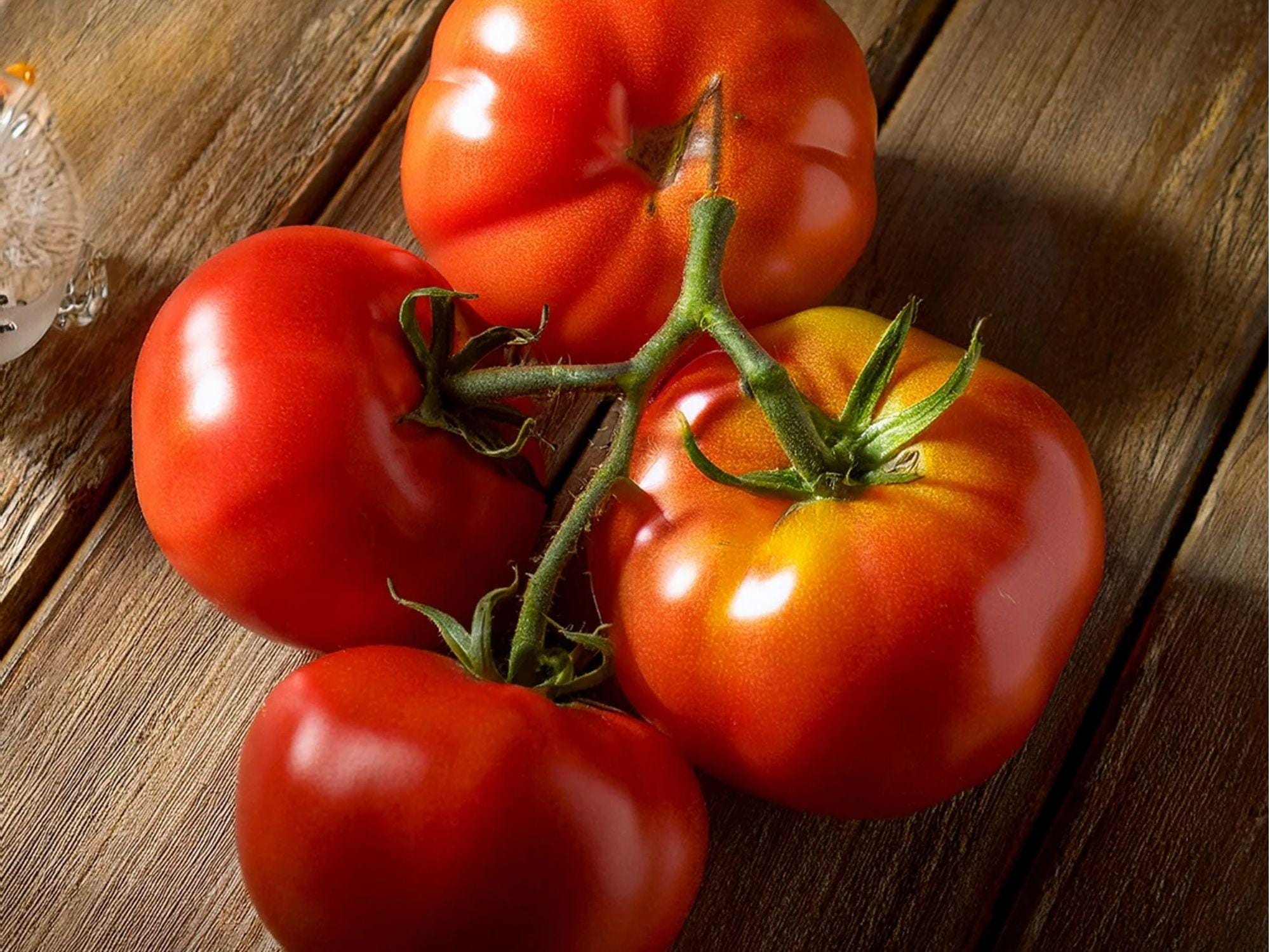 Floradel Tomato Seeds – 30 Count, Heat Tolerant, Slicing Red Tomatoes, Solanum lycopersicum, Warm Climate Gardening