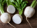 Seven Top Turnip Seeds – 500 Count, Leafy Greens, Brassica rapa, Continuous Harvest, Cool-Season Vegetable, Non-GMO