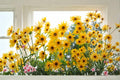 Maximilian Sunflower Seeds – Helianthus maximiliani – Perennial Wildflower for Pollinator Gardens and Meadow Planting