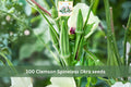 Clemson Spineless Okra Seeds – Heirloom Vegetable Seeds for Garden, Container, or Raised Bed Planting – Abelmoschus esculentus