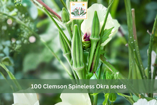 Clemson Spineless Okra Seeds – Heirloom Vegetable Seeds for Garden, Container, or Raised Bed Planting – Abelmoschus esculentus