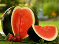 Sugar Baby Watermelon Seeds – 10 Count, Small Dark Green Variety, Citrullus lanatus, Compact Vines for Small Gardens