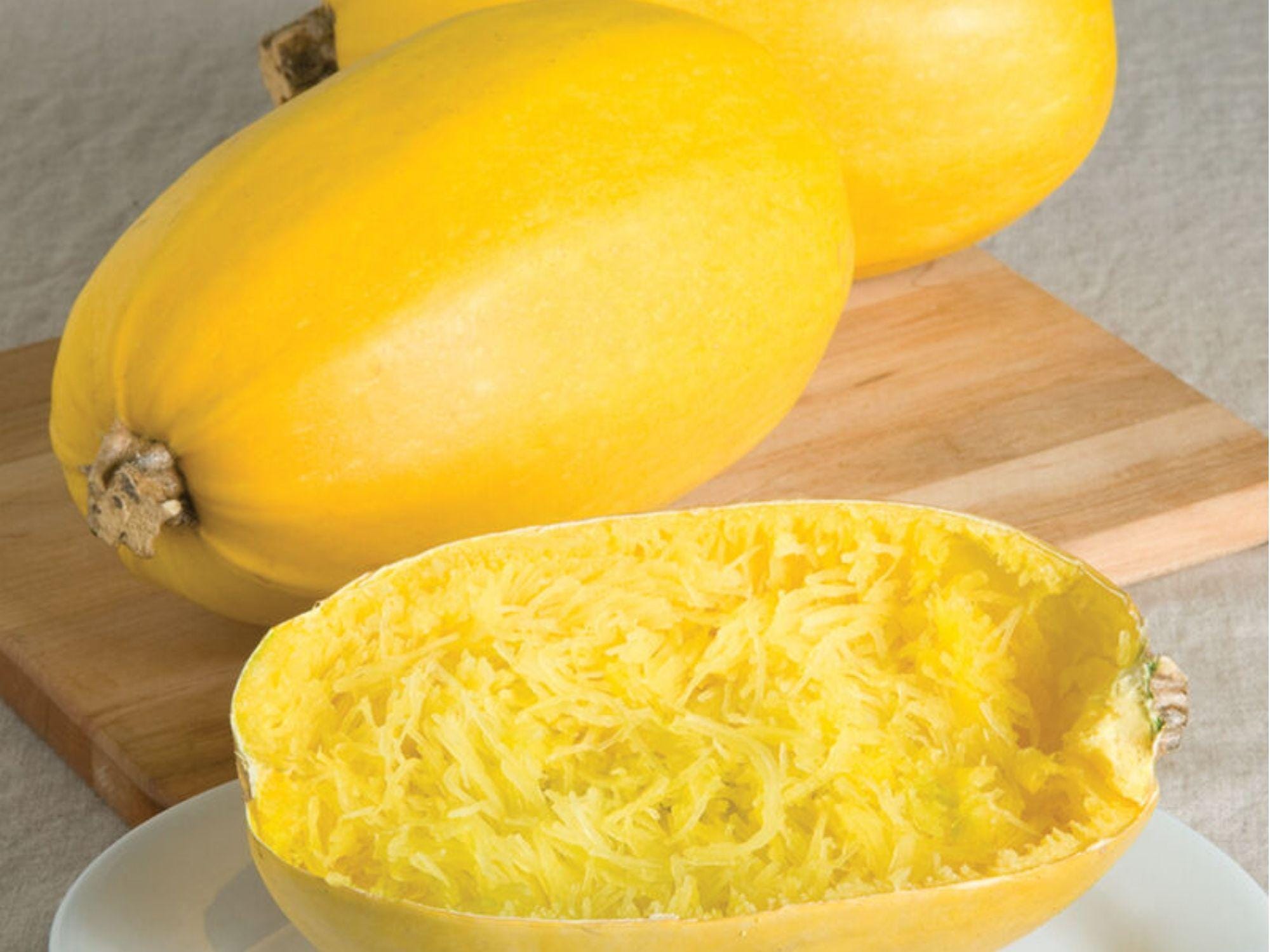 Spaghetti Squash Seeds – 10 Count, Winter Vegetable, Cucurbita pepo, Stringy Flesh, Roasting & Cooking