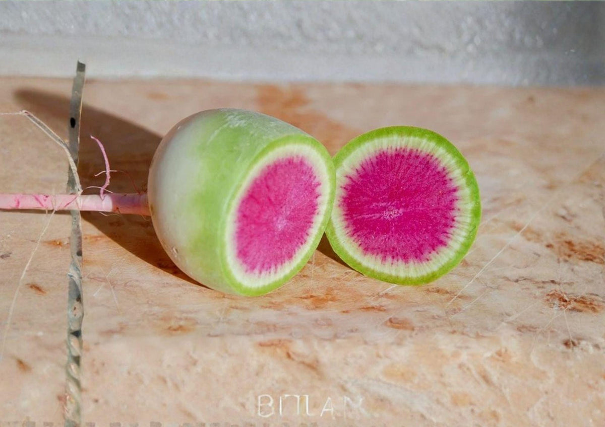 Watermelon Radish Seeds Non-GMO Heirloom Pink Center Vegetable Seeds for Garden Planting