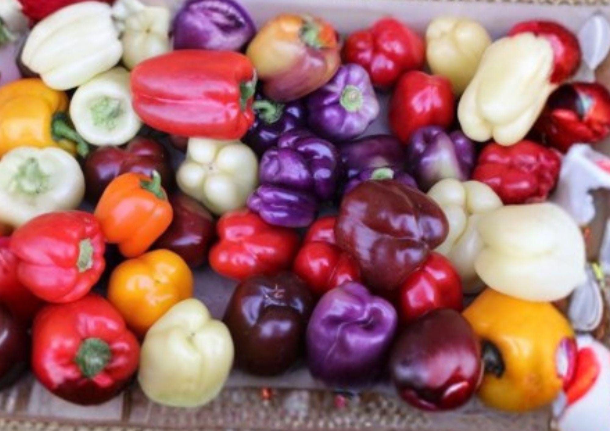 Rainbow Bell Pepper Seed Mix – 7 Color Varieties, Heirloom Non-GMO Sweet Pepper Seeds for Garden, Container, and Greenhouse Growing