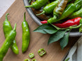 Pepperoncini Seeds – 25 Non-GMO Italian Mild Pickling Pepper Variety for Fresh Use & Preserving (Capsicum annuum)