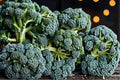 Broccolini Seeds – Brassica oleracea – Cool-Season Vegetable with Slender Stems and Green Florets