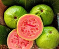 Grafted Ruby Guava Tree Live Plant, 1 Gallon, Tropical Fruit, Potted, Fruit-Bearing, Small Tree, Psidium guajava