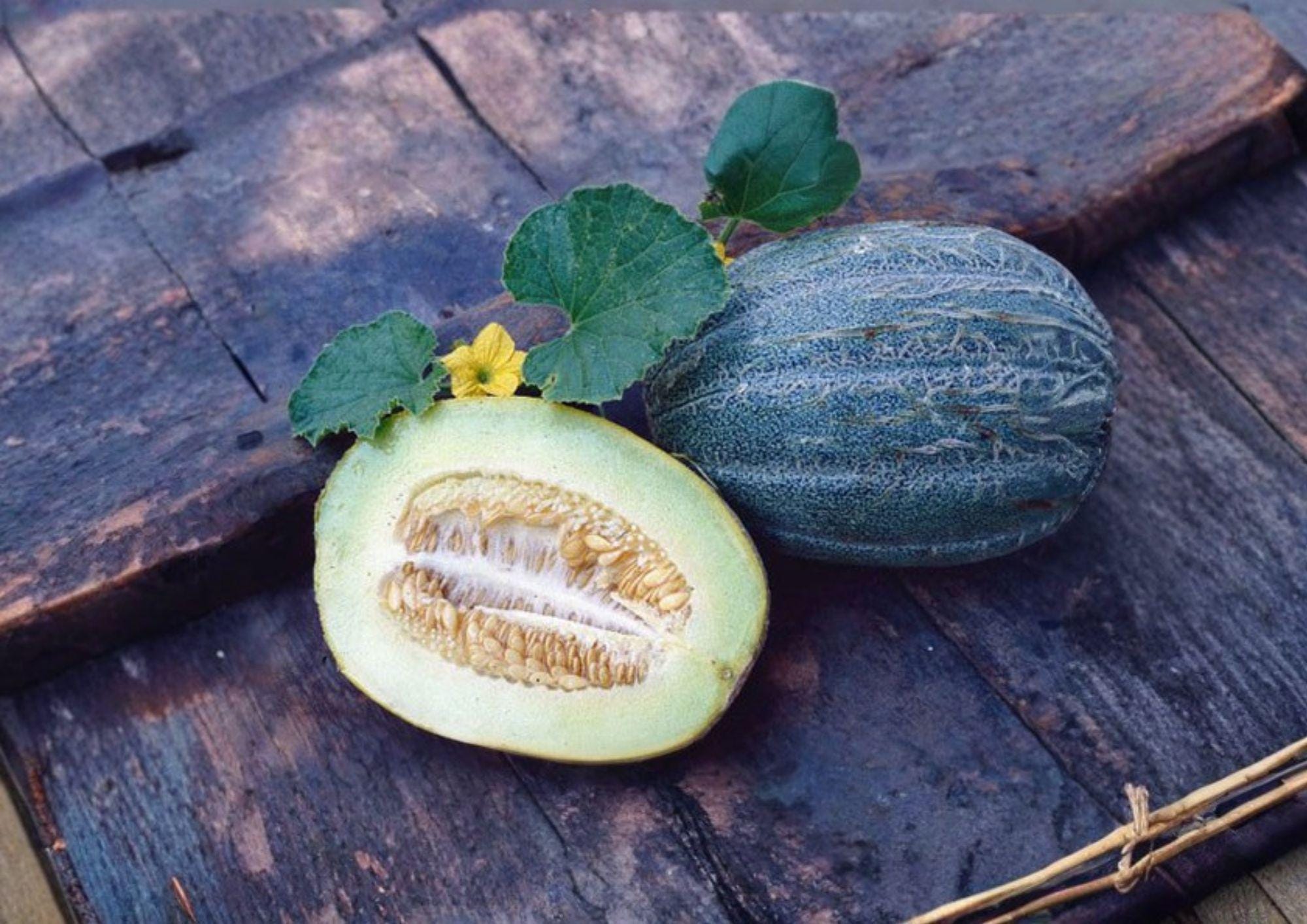 Early Valencia Winter Honeydew Melon Seeds – Heirloom Green Flesh Fruit for Garden Planting