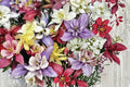Columbine Seeds Mix – Aquilegia vulgaris Perennial Wildflower for Borders & Pollinators