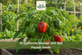 California Wonder 300 Bell Pepper Seeds | Sweet Green to Red Vegetable Garden Planting | Capsicum annuum