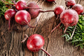 Blood Beet Seeds – Beta vulgaris, Edible Root Vegetable, Deep Red, Smooth Round Shape, Garden Crop, Home Garden Plant