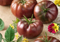 Black Prince Tomato Seeds - Heirloom Non-GMO Rare Vegetable Seeds for Garden Planting, Dark Purple-Red Fruits