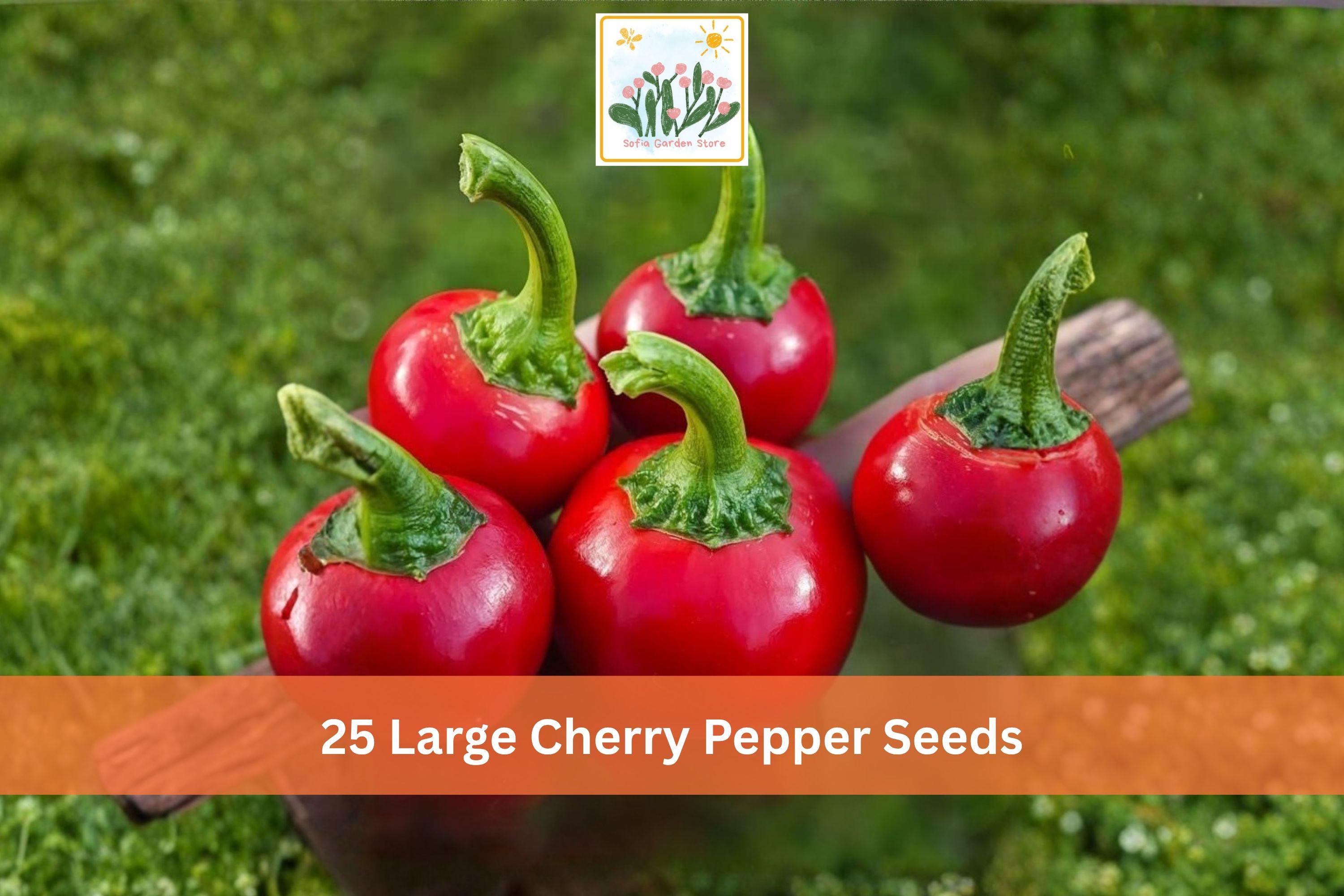 Large Cherry Hot Pepper Seeds, Capsicum annuum, Red Round Chili Vegetable Seeds for Garden Planting