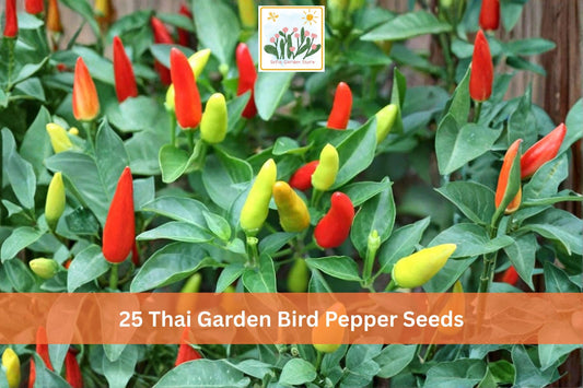 Thai Garden Bird Pepper Seeds – Hot Red Chili Vegetable Seeds for Garden, 25 Capsicum annuum, Small Slender Fruits
