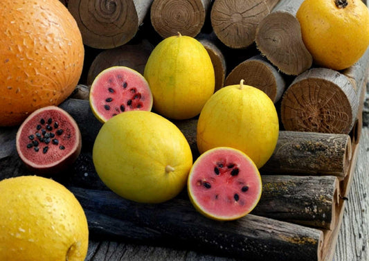 Golden Midget Watermelon Seeds - Heirloom Organic Non-GMO Fruit Seeds for Garden Planting, Mini Yellow Skin, Sweet Early Variety