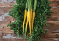 Yellow Carrot Seeds - Heirloom, Non-GMO, High Yield, Sweet Golden Roots for Garden Planting