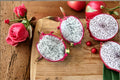 Dragon Fruit 1 Plant â€“ Hylocereus undatus