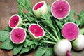 Watermelon Radish Seeds, Raphanus sativus, Root Vegetable, Edible Root, Salad Vegetable, Heirloom Radish, Cool Season Crop
