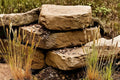Hard Fescue Grass Seeds – Festuca brevipila, Drought Tolerant, Fine-Textured, Low-Maintenance Lawn & Erosion Control Seed