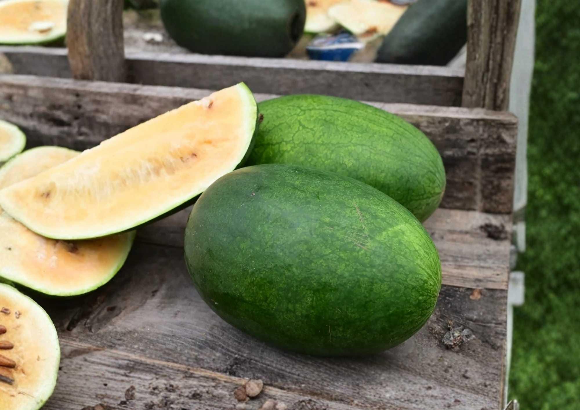 Tendersweet Orange Watermelon Seeds – Heirloom Non-GMO Fruit Seeds for Garden Planting, Large Juicy Summer Melon